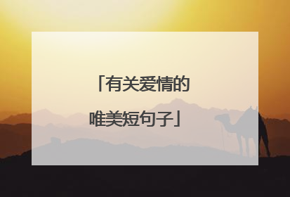 有关爱情的唯美短句子