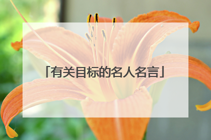 有关目标的名人名言