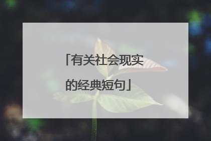 有关社会现实的经典短句