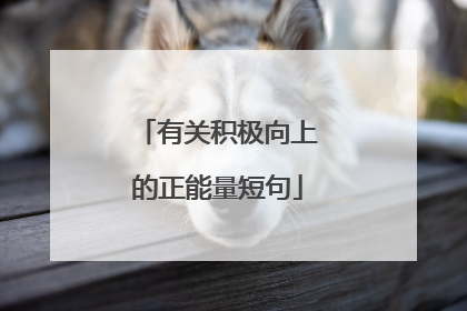 有关积极向上的正能量短句
