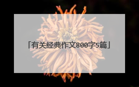 有关经典作文800字5篇