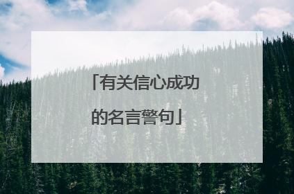 有关信心成功的名言警句