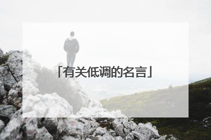 有关低调的名言