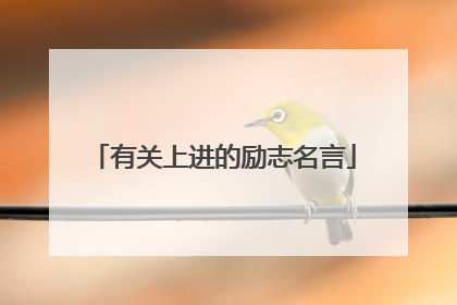有关上进的励志名言