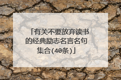 有关不要放弃读书的经典励志名言名句集合(40条)