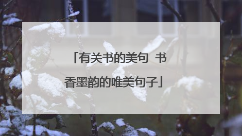 有关书的美句 书香墨韵的唯美句子