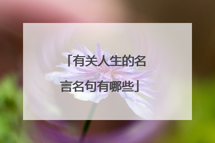 有关人生的名言名句有哪些