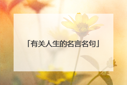 有关人生的名言名句