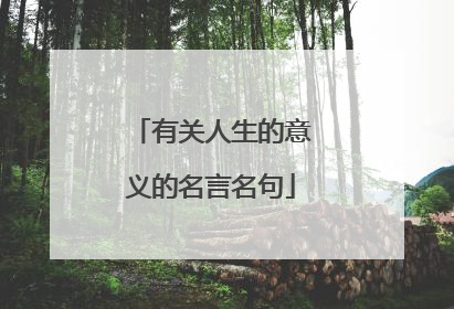有关人生的意义的名言名句
