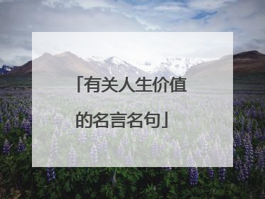 有关人生价值的名言名句