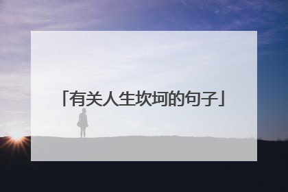 有关人生坎坷的句子