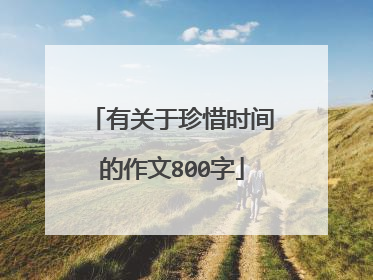 有关于珍惜时间的作文800字