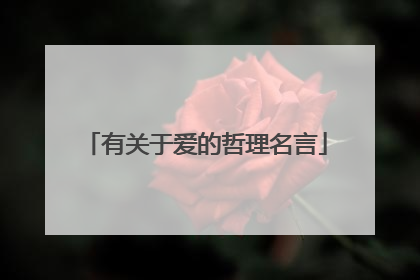 有关于爱的哲理名言