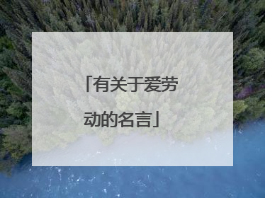 有关于爱劳动的名言