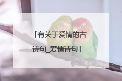 有关于爱情的古诗句_爱情诗句