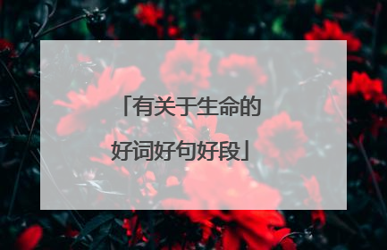 有关于生命的好词好句好段