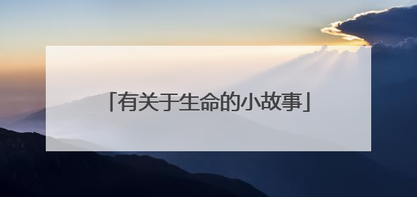 有关于生命的小故事