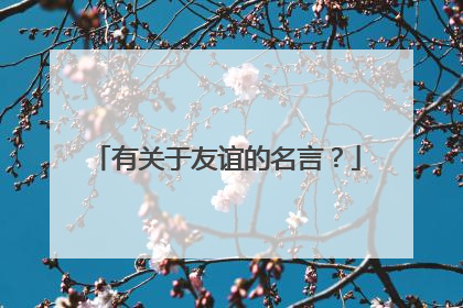 有关于友谊的名言?
