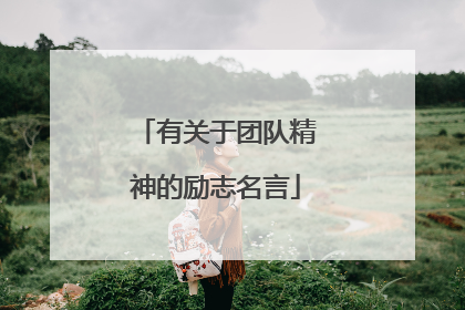 有关于团队精神的励志名言