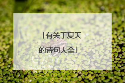 有关于夏天的诗句大全