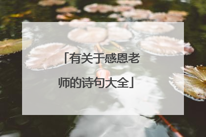 有关于感恩老师的诗句大全