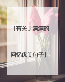 有关于满满的回忆优美句子