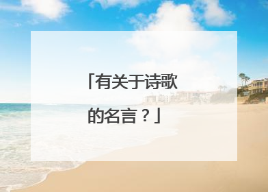有关于诗歌的名言？