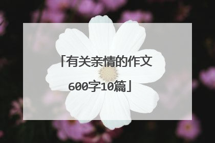 有关亲情的作文600字10篇