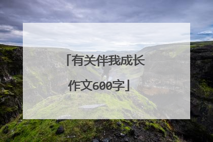 有关伴我成长作文600字
