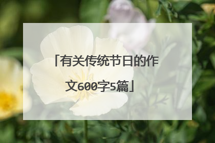 有关传统节日的作文600字5篇