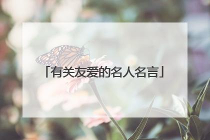 有关友爱的名人名言