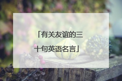 有关友谊的三十句英语名言