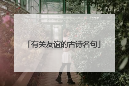 有关友谊的古诗名句