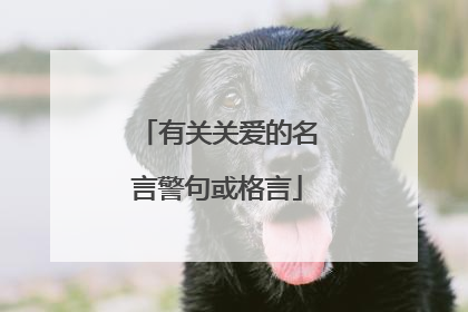 有关关爱的名言警句或格言