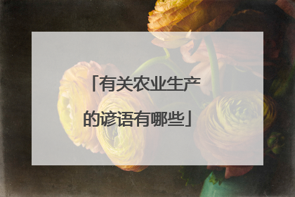 有关农业生产的谚语有哪些