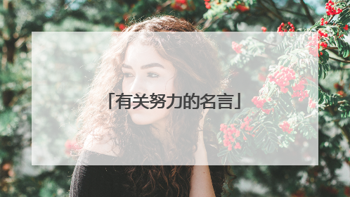 有关努力的名言