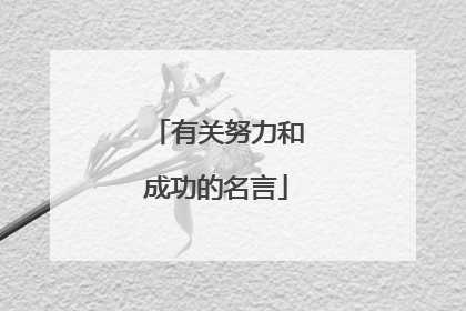 有关努力和成功的名言