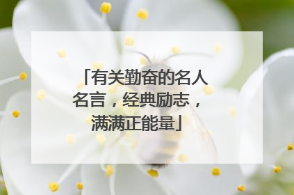 有关勤奋的名人名言，经典励志，满满正能量