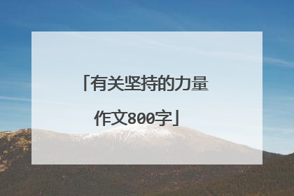 有关坚持的力量作文800字