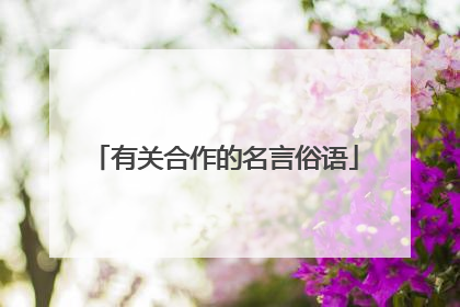 有关合作的名言俗语