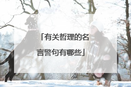 有关哲理的名言警句有哪些