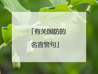 有关国防的名言警句