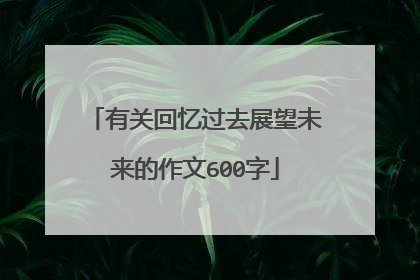 有关回忆过去展望未来的作文600字