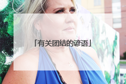 有关团结的谚语