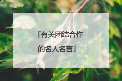 有关团结合作的名人名言