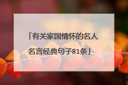 有关家国情怀的名人名言经典句子81条