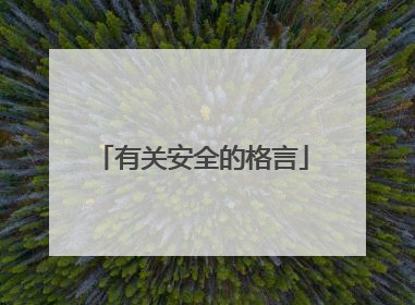 有关安全的格言