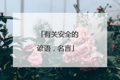 有关安全的谚语，名言
