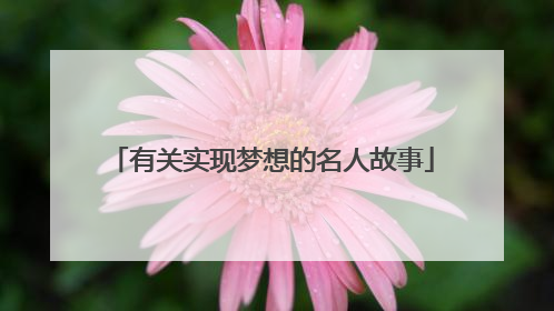 有关实现梦想的名人故事