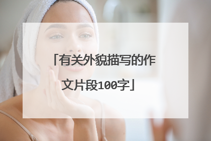 有关外貌描写的作文片段100字